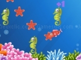 Game Star Fish